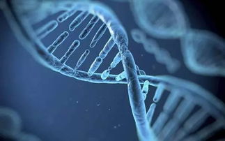 2017年世界前沿生物科技發展態勢及2018年展望