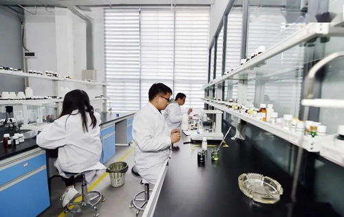 工業遺產蝶變記 昆明茨壩生物科技小鎮，打造生命科學新引擎